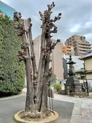 養昌寺(東京都)