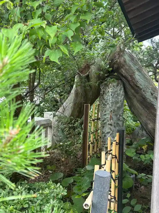 素盞嗚神社(兵庫県)