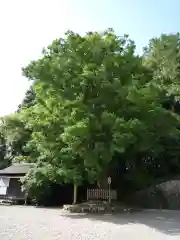 宇賀多神社(三重県)