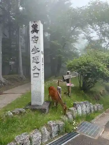 三峯神社(埼玉県)