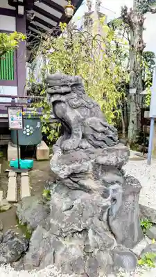 高木神社の狛犬