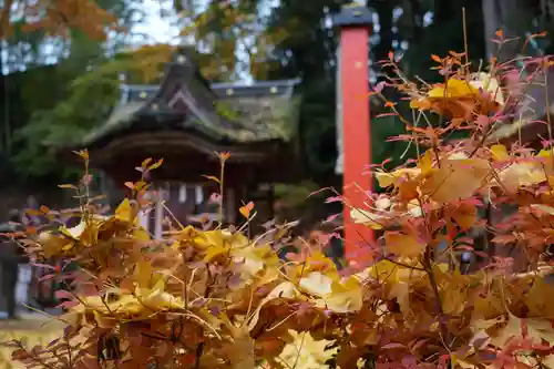 談山神社(奈良県)