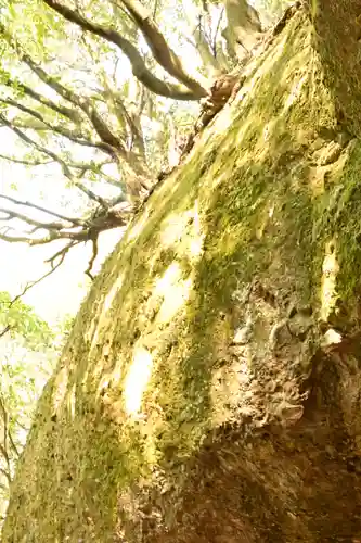 霊岩寺(愛媛県)