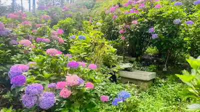 三室戸寺(京都府)