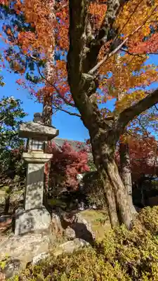 神光院(京都府)