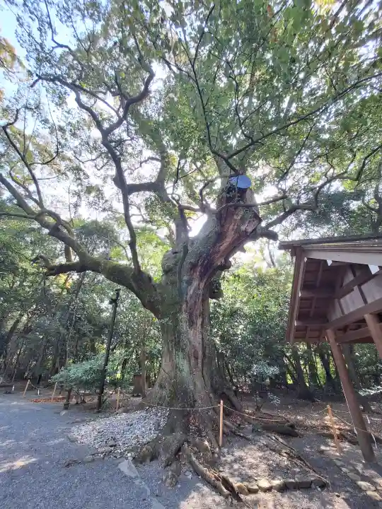 月夜見宮(豊受大神宮別宮)の{uncategorized: "未分類", other: "その他", undefined: "問題あり", building: "その他建物", grave: "お墓", sacred_gate: "鳥居", guardian: "狛犬", statue: "像", buddha: "仏像", history: "歴史", nature: "自然", garden: "庭園", animal: "動物", pagoda: "塔", temizu: "手水舎", mountain_gate: "山門・神門", sanctuary: "本殿・本堂", subordinate: "末社・摂社", art: "芸術", scenery: "景色", jizo: "地蔵", ema: "絵馬", goshuin: "御朱印", omikuji: "おみくじ", items: "授与品その他", amulet: "お守り", goshuincho: "御朱印帳", eats: "食事", festival: "お祭り", votive_dance: "神楽", shichigosan: "七五三参", wedding: "結婚式", experience: "体験その他", initially: "初詣", around: "周辺", anti_infection: "感染症対策"}
