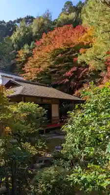 二尊院(京都府)