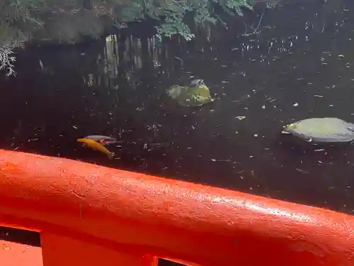 富知六所浅間神社の庭園