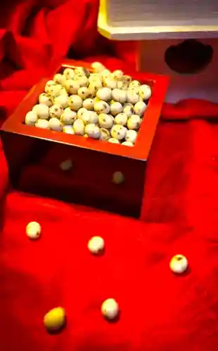 潮見ヶ岡神社(北海道)