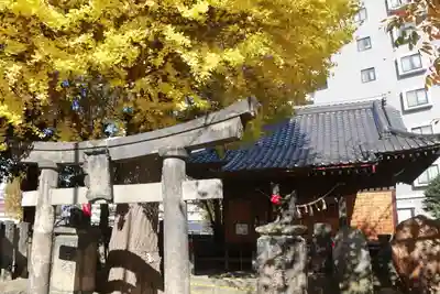 晴門田神社の鳥居
