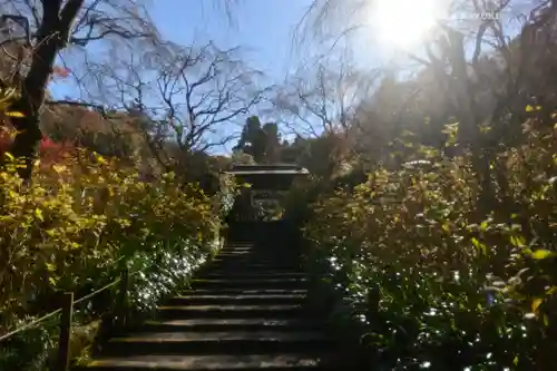明月院(神奈川県)