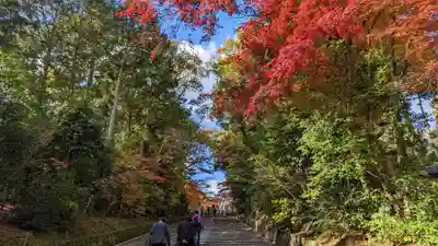 光明寺（粟生光明寺）(京都府)