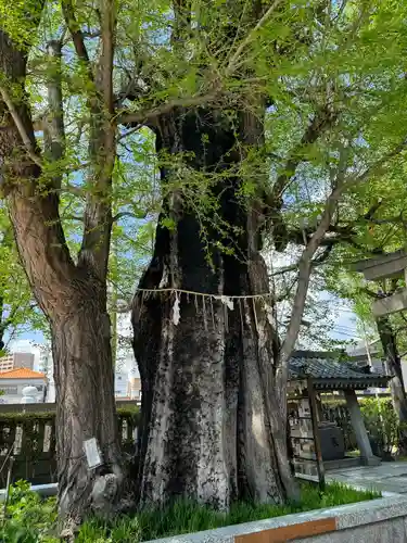 飛木稲荷神社(東京都)