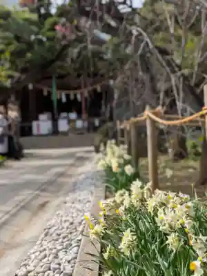 鳩森八幡神社(東京都)