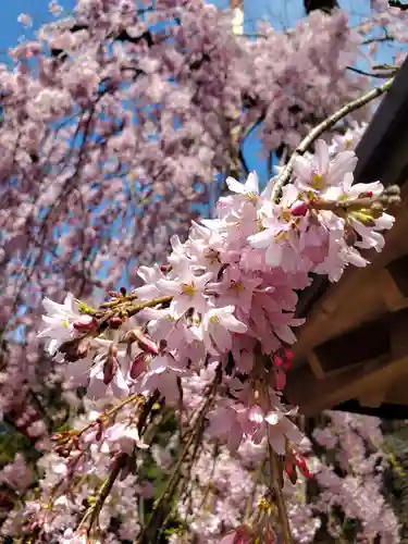 妙関寺(福島県)