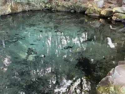 泉神社(茨城県)