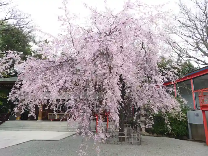 鈴鹿明神社(神奈川県)