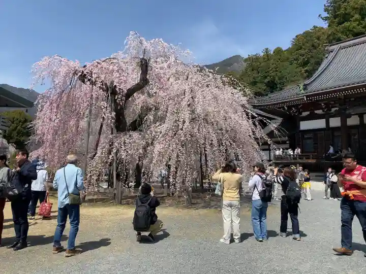 久遠寺(山梨県)