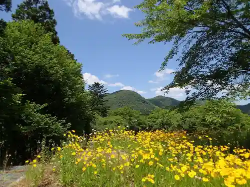 長岡神社・八幡神社・天御布須麻神社の自然