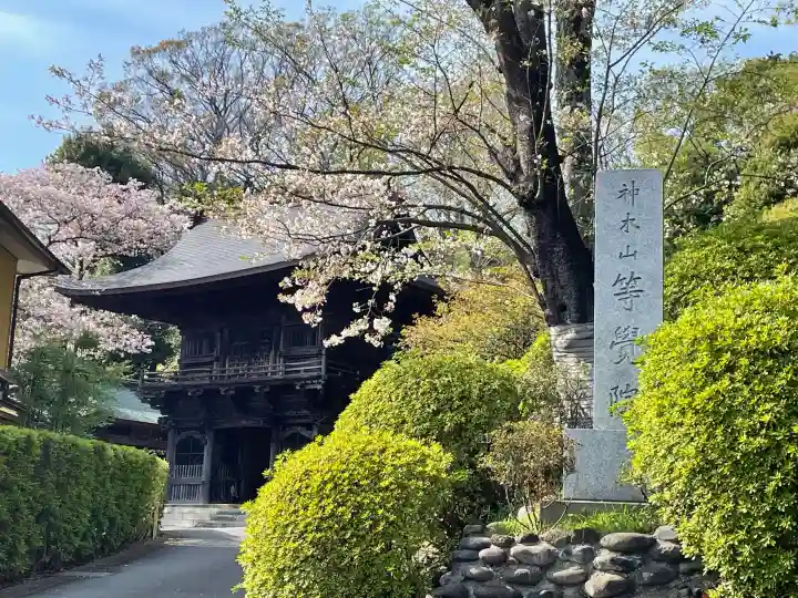 等覚院(神奈川県)