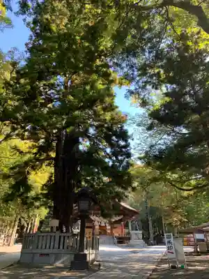 諏訪大社下社秋宮のその他建物