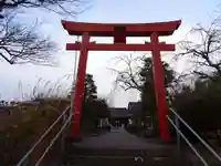 諏訪神社の鳥居