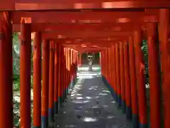 鎭國守國神社の鳥居