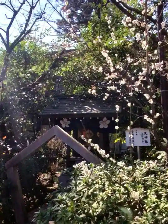 阿佐ヶ谷神明宮(東京都)
