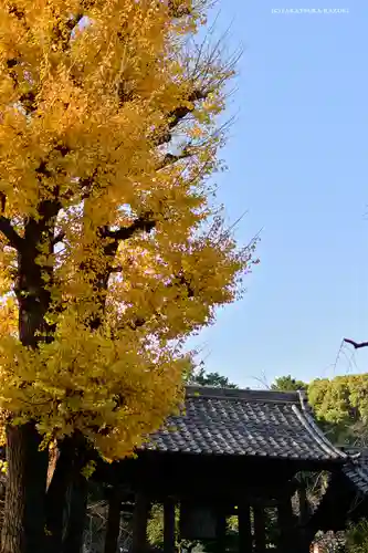 寛永寺開山堂のその他建物