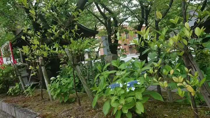 若宮八幡社の自然