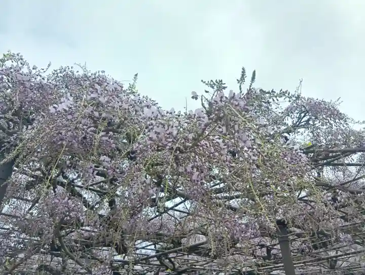 竹鼻別院(岐阜県)
