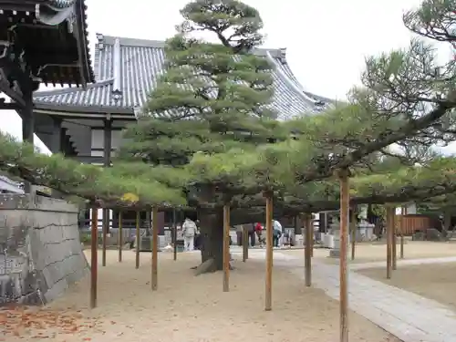 本福寺(滋賀県)