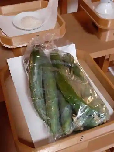 伏木香取神社(茨城県)