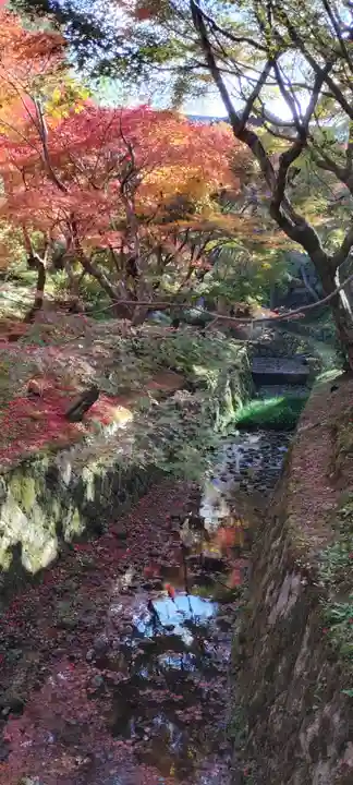 東福禅寺(東福寺)(京都府)