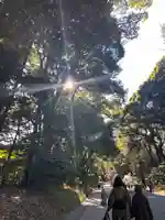 明治神宮(東京都)