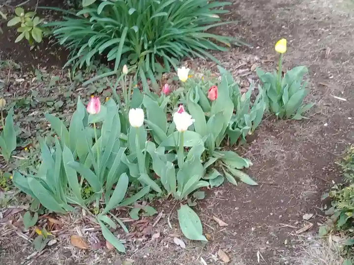 観泉寺(東京都)