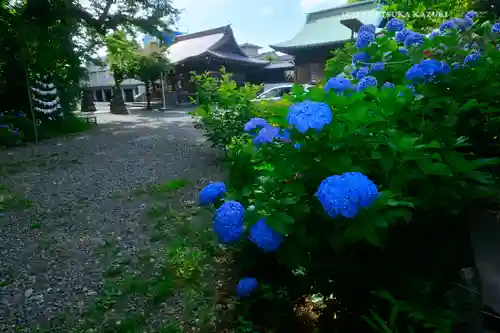 本郷氷川神社(東京都)