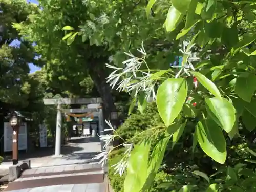 伊奴神社の建物その他