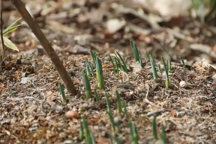 大六天麻王神社(福島県)