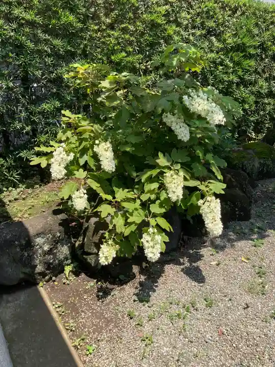 西善院(神奈川県)