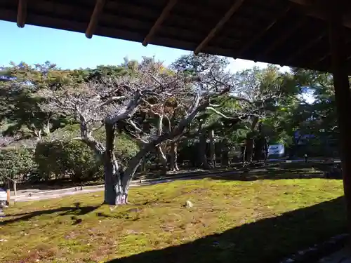 長壽寺（長寿寺）(神奈川県)