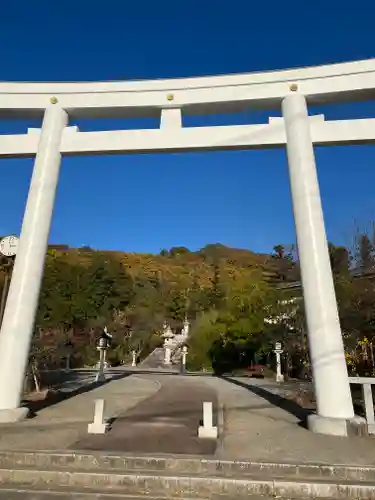 山梨縣護國神社の鳥居