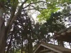 鷹房神社の建物その他