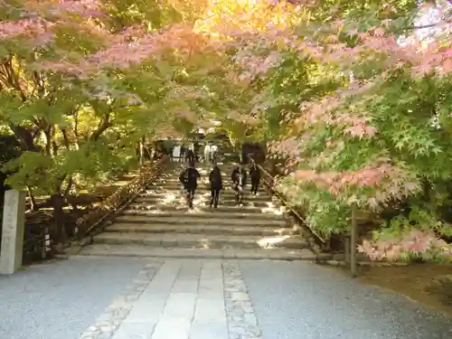 龍安寺(京都府)