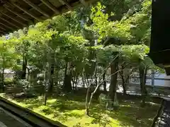 龍安寺(京都府)