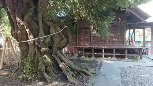 音無神社の自然