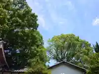 刺田比古神社(和歌山県)