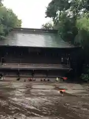 谷保天満宮の建物その他