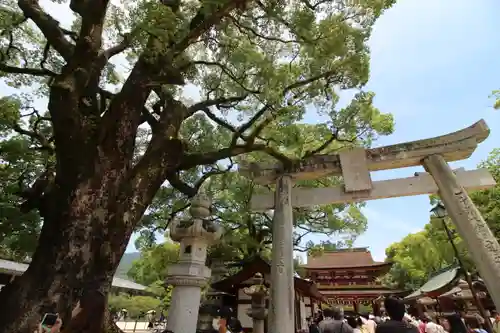 太宰府天満宮の鳥居