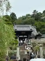 柳谷観音 楊谷寺(京都府)